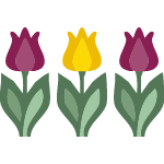 icon_150x150_tulips